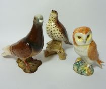 Beswick Thrush, Pigeon and Owl (3) Condition Report <a href='//www.