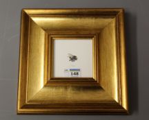 Life Size study of a Bee, pen and watercolour signed L Tindall 8.5cm x 8.