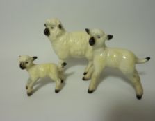 Three Beswick sheep Condition Report <a href='//www.davidduggleby.