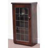 Oak cabinet enclosed by lead glazed door, W54cm, H99cm,
