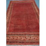 Persian Boteh hand knotted red ground rug carpet, repeating Boteh motif field,