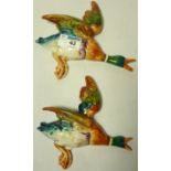 Two Beswick flying ducks (596-3 and 596-4) Condition Report <a href='//www.