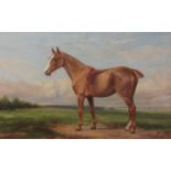 Wright Barker (British 1864-1941): 'Dagmar' - Portrait of a Polo Pony,