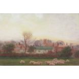 Thomas Bushby (British 1861-1918): Sheep Resting in a Vllage Paddock,