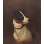 Colin Graeme Roe (Scottish 1855-1910): Study of a Jack Russell,