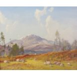 Tom Campbell (Scottish (1865-1943) ): Sheep in Upland Landscape,