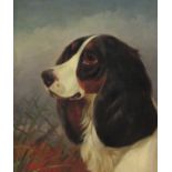 Colin Graeme Roe (Scottish 1855-1910): Study of a Spaniel, oil on canvas signed 27.5cm x 22.