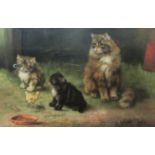 Adrienne Lester (British 1870-1950): 'The Intruder' - study of Cat and Kittens,