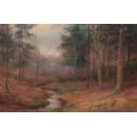 William Lakin Turner (British 1867-1936): 'Evening in the Little Eaton Woods Derbyshire',