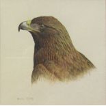 Simon Turvey (British 1957-): Eagle's Head Study,