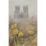 Helen Allingham (British 1848-1926): Botanical study of Colt's Foot, watercolour unsigned,