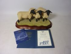 Border Fine Arts limited edition sheep group 'Suffolk Family Group' no.