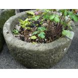 Circular stone planter with plants Condition Report <a href='//www.