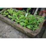 Rectangular red sandstone trough, planted Condition Report <a href='//www.