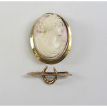 Victorian gold pink shell cameo broach stamped 9ct and a Victorian gold horse shoe broach