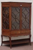 Edwardian inlaid mahogany astragal glazed display cabinet enclosed by two doors above two drawers,
