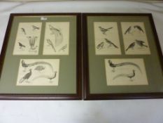Pair 19th century bird plates in mahogany frames Condition Report <a