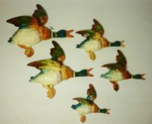 Five graduated Beswick flying ducks Condition Report <a href='//www.