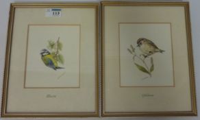 Pair of avian watercolours 'Bluetit', 'Goldcrest' M.J.