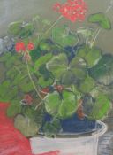 Pat Faust (British Contemporary): 'Geraniums in White Pot',