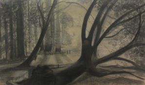 Pat Faust (British Contemporary): 'Fallen Redwood - Muir Wood California', pastel signed, exh.