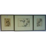 Studies of Birds set of four early 20th Century Japanese woodcuts with seal marks each 21cm x 15cm
