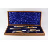 Edwardian cast steel carving set,