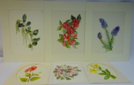 Folio of Floral Study Watercolours by Beryl Wright Condition Report <a