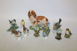 Small Geobel, Beswick and other birds,