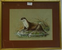 'An Otter', watercolour study signed and dated by wildlife artist Audrey North 1978,