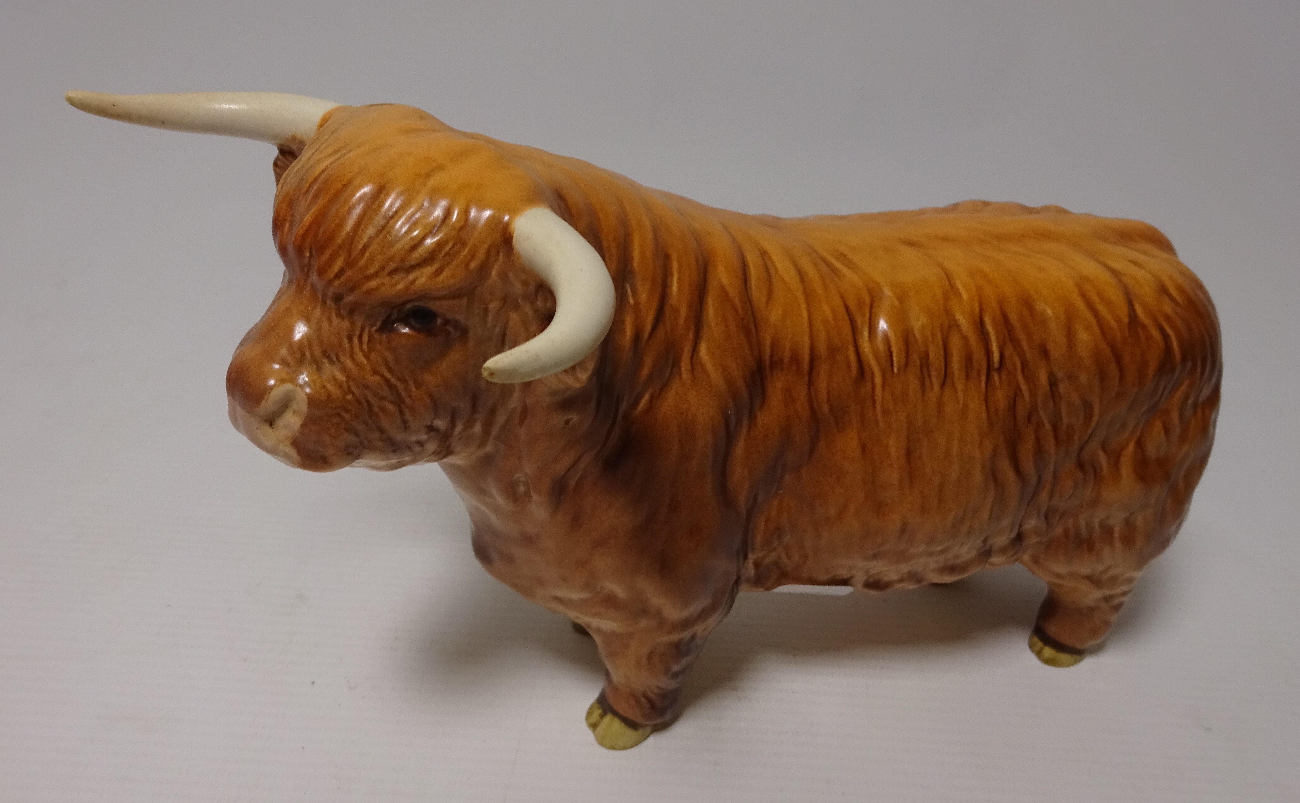 Beswick Highland bull, W20.5cm Condition Report <a href='//www.davidduggleby.
