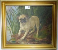 A Pug on a River Bank,