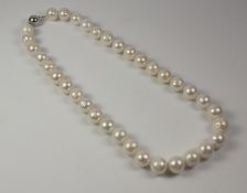 White South Sea pearl necklace Condition Report <a href='//www.davidduggleby.
