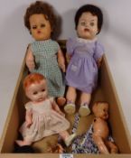 Vintage 'Walking' Roddy doll c1950 and other dolls in one box Condition Report