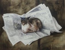 'Lazy Sunday' cat portrait, watercolour signed by Marianne Cox 37.5cm x 48.