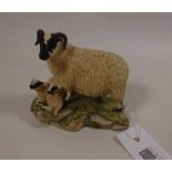 Border Fine Arts Sheep Group Condition Report <a href='//www.davidduggleby.
