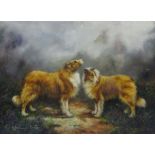 Border Collies in the Mist, oil on board signed by Adrienne Lester 50cm x 67.