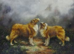 Border Collies in the Mist, oil on board signed by Adrienne Lester 50cm x 67.