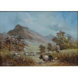 Border Collie Herding Sheep in Landscape,