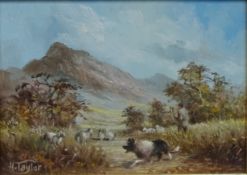 Border Collie Herding Sheep in Landscape,