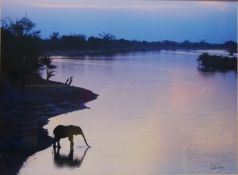 Elephant Drinking from Lake, colour print after Colin Mead 49cm x 66.