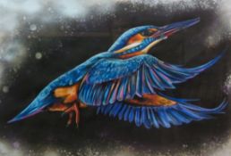 Sharon Tiernan (British 1979-): Kingfisher in Flight,