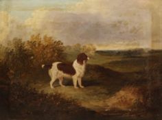 English School (19th century): Spaniel in Landscape,