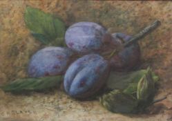 C H Slater (19th/20th century): Still Life of Plums,