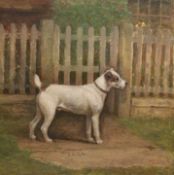 William Henderson Of Whitby (1844-1904): 'Jack' portrait of a Terrier,
