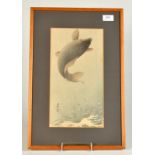 A Japanese watercolour of a leaping Koi carp, Meiji period, signature Kosai? and red seal mark, 34.