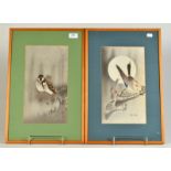 A Japanese woodblock of two Mandarin ducks in flight, signature Kosai?, and red seal mark,