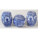 A pair of Winton's Tea blue and white Maling Ware lidded tea caddies, height 18.