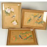 A set of three Chinese watercolour paintings of exotic birds, signed and inscribed in grass writing,