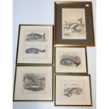 Five whaling prints, together with a commemorative Hudson Bay Company book publication dated 1920.